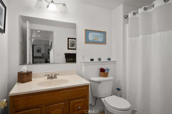 Lower level guest bath