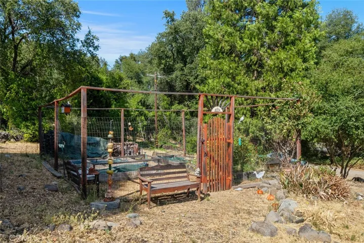 Garden area