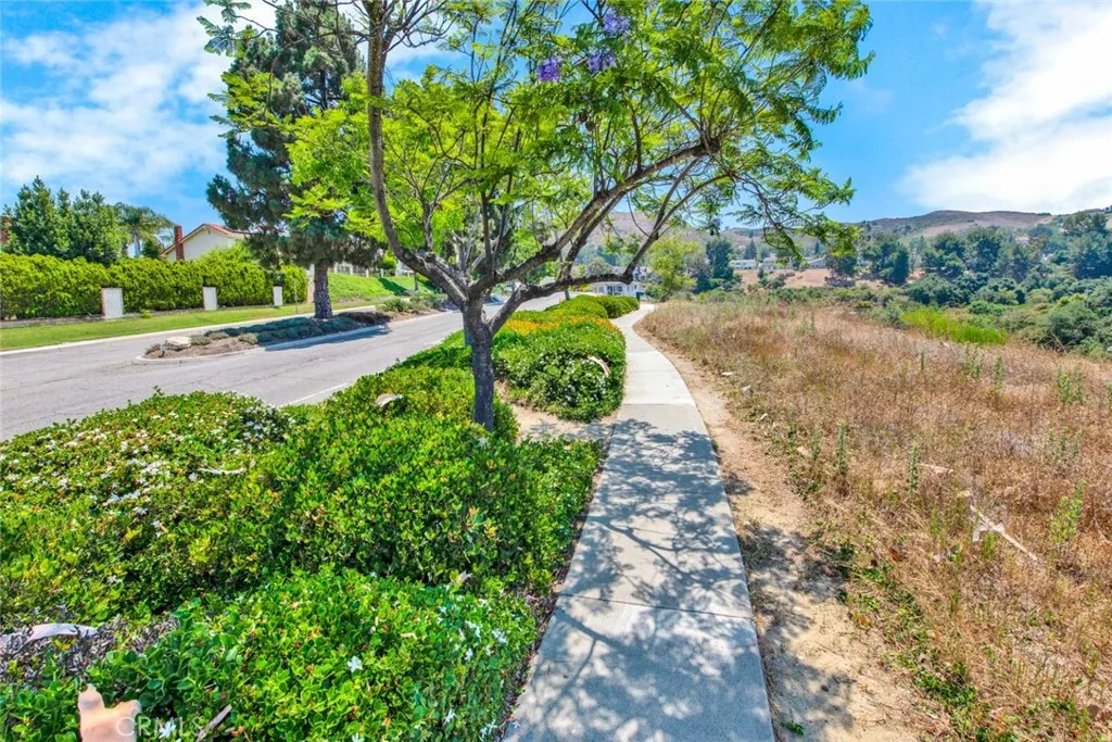 730 S Quail, Anaheim, California 92807 home-pic-64