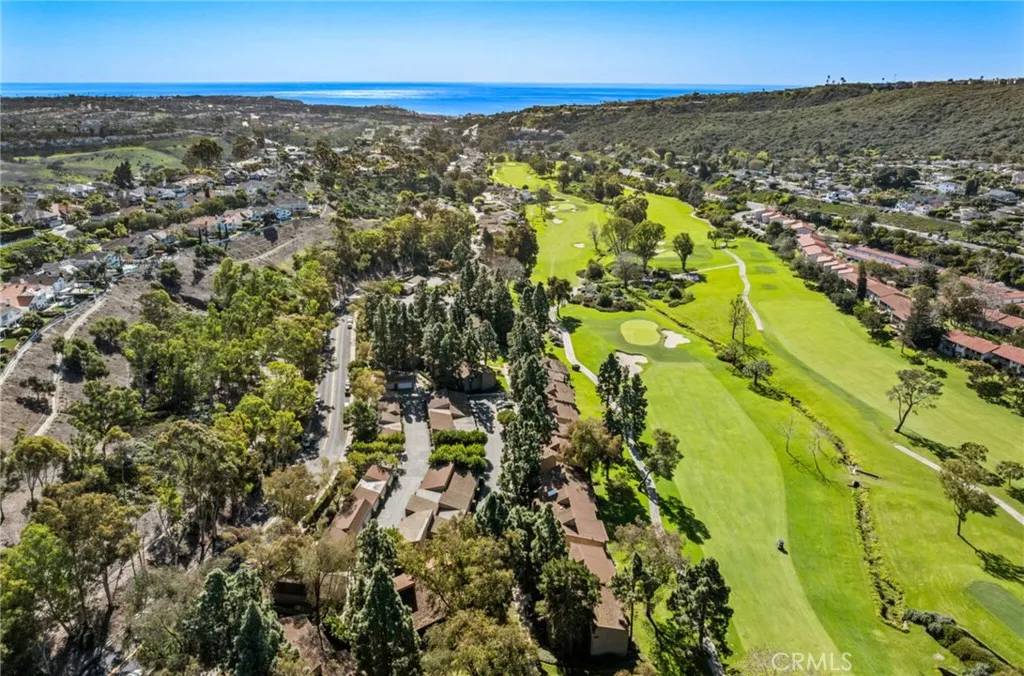31505 E Nine 21h, Laguna Niguel, California 92677 home-pic-25
