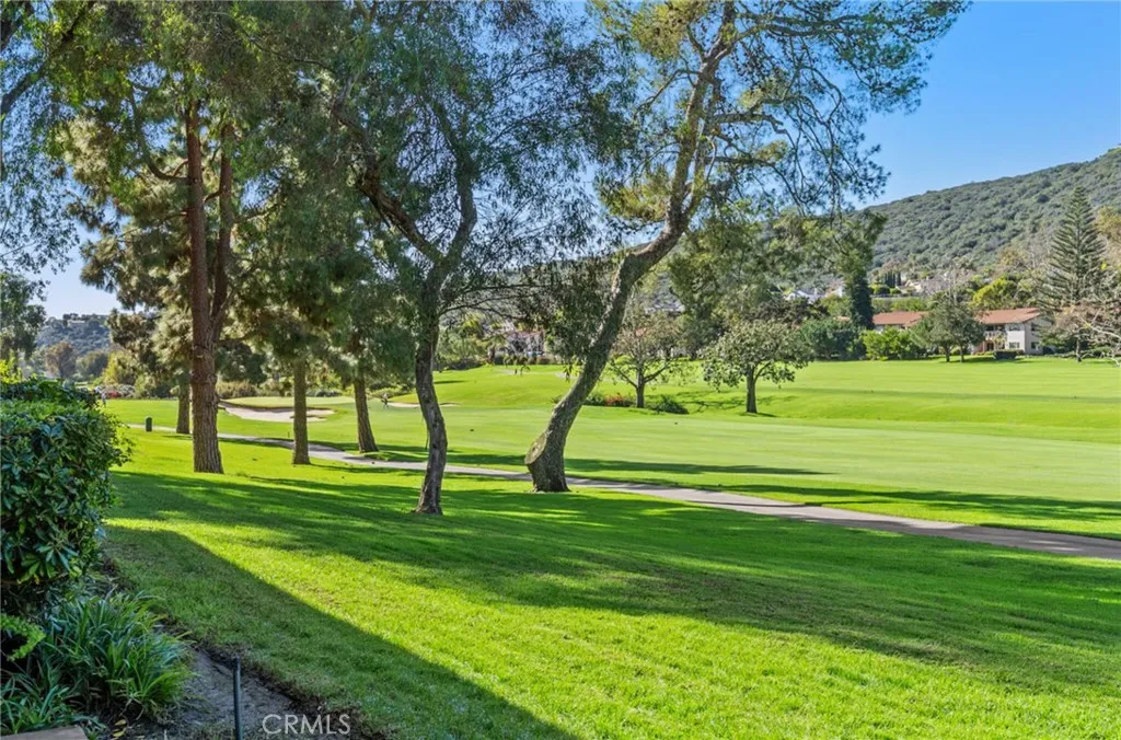 31505 E Nine 21h, Laguna Niguel, California 92677 home-pic-22