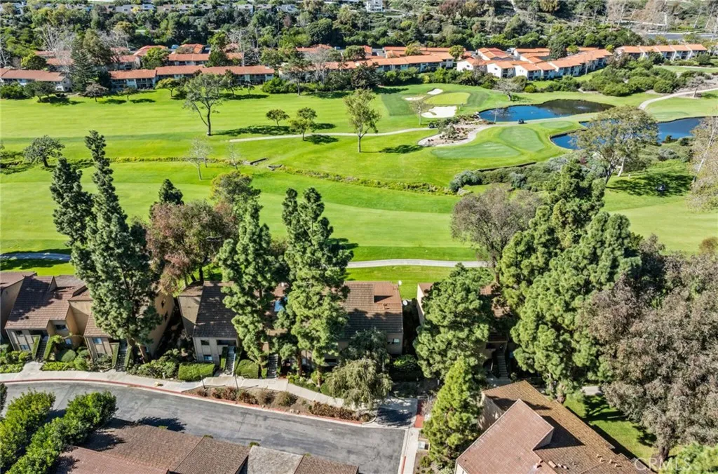 31505 E Nine 21h, Laguna Niguel, California 92677 home-pic-24