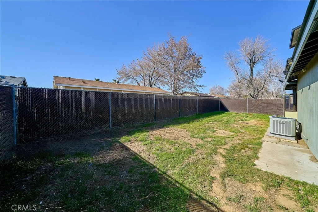 Back yard