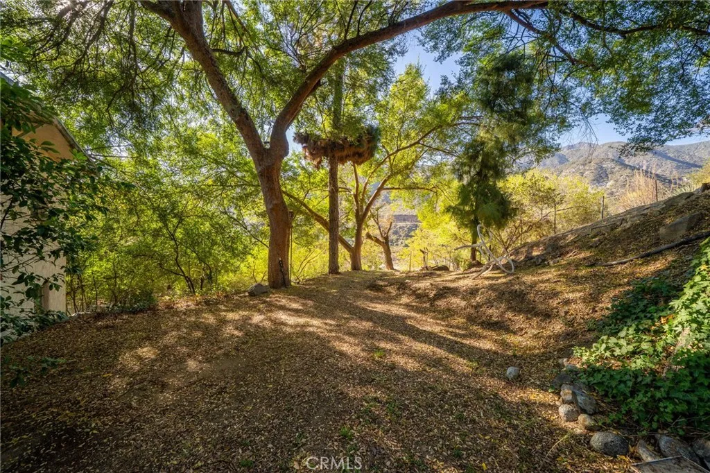 2800 N Mountain Avenue, Upland, California 91784 home-pic-10