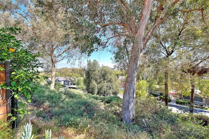 15681 Ladera Vista, Chino Hills, California 91709
