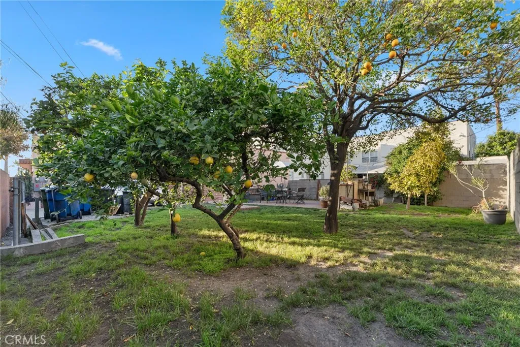 2640 S Bronson, Los Angeles, California 90018 home-pic-24