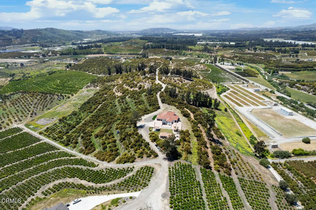 DJI_0454 (1)_1