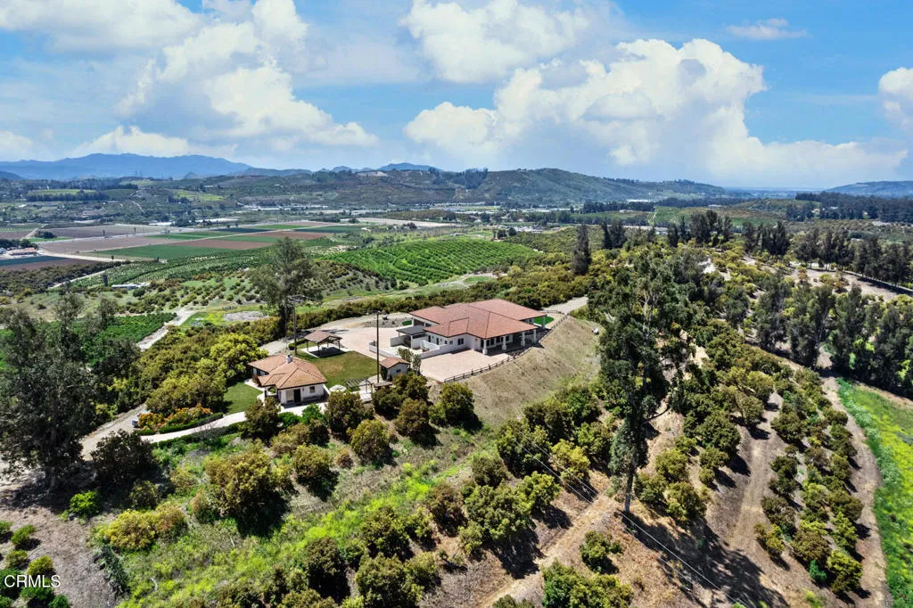 DJI_0394 (1)_1