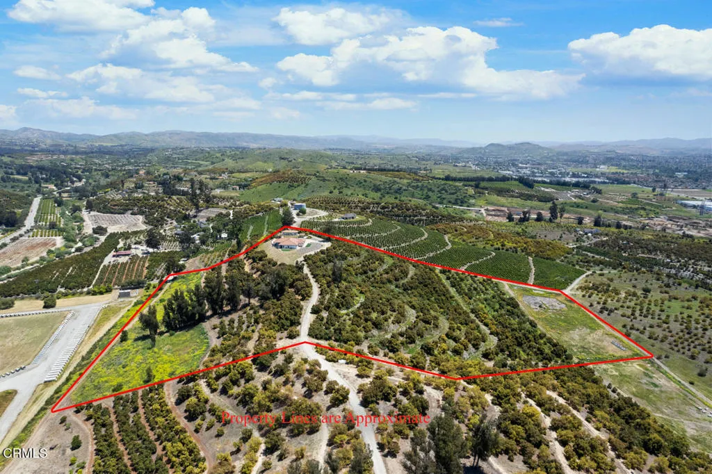 DJI_0464 (1)_2
