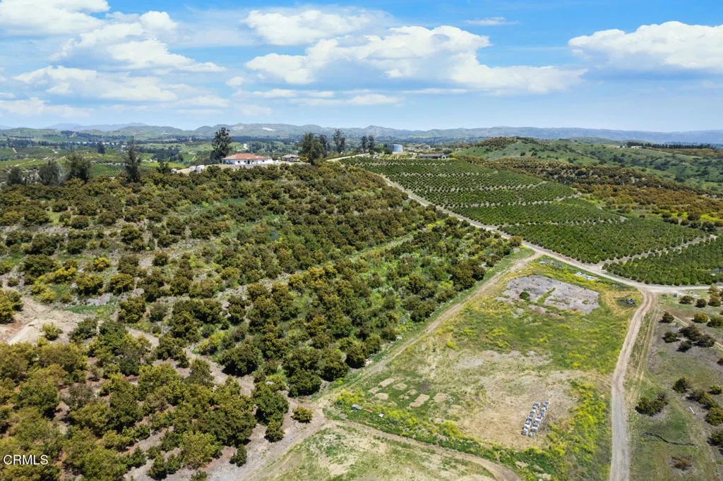 DJI_0474 (1)_1