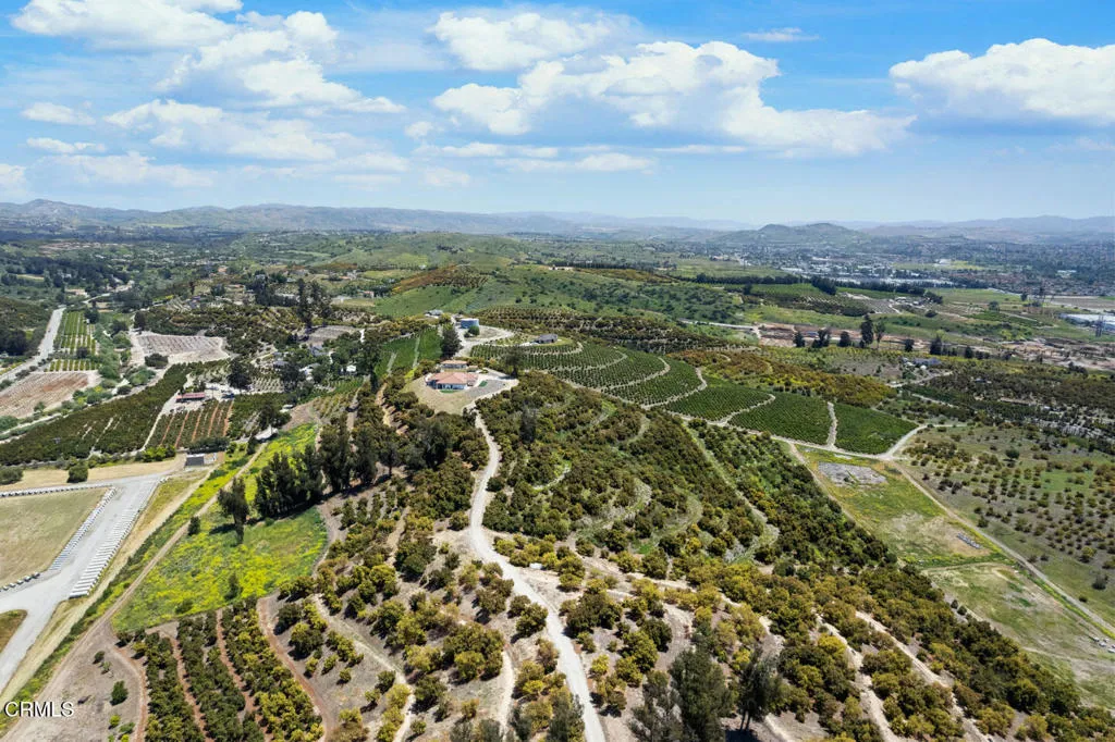 DJI_0464 (1)_1