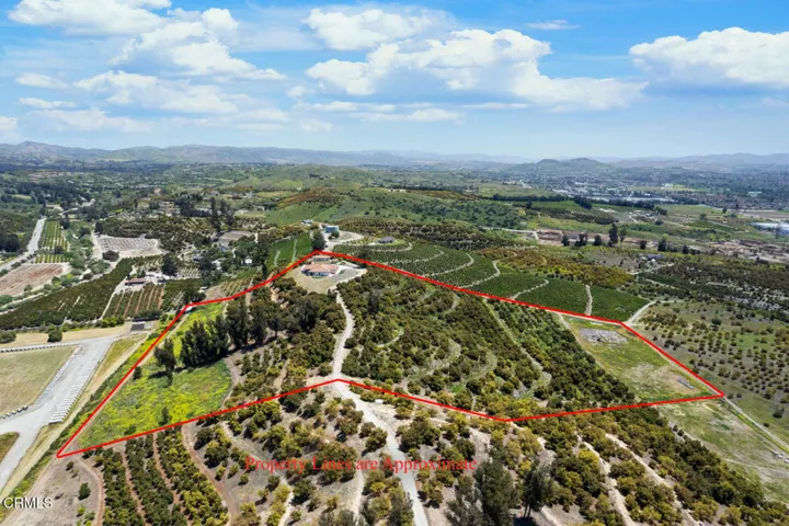 DJI_0464 (1)_2