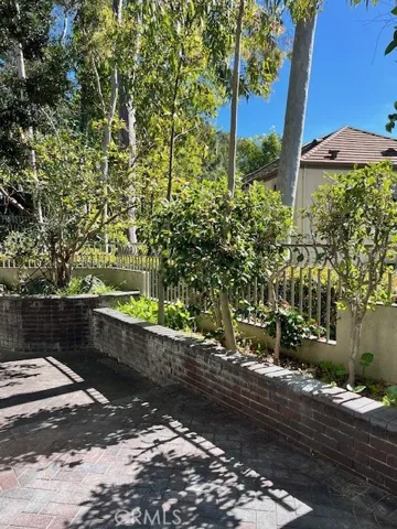Back Patio