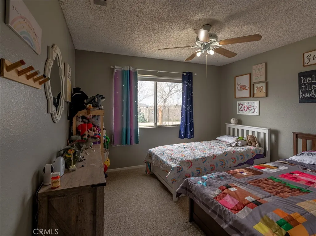 40734 163rd E, Lancaster, California 93535 home-pic-18