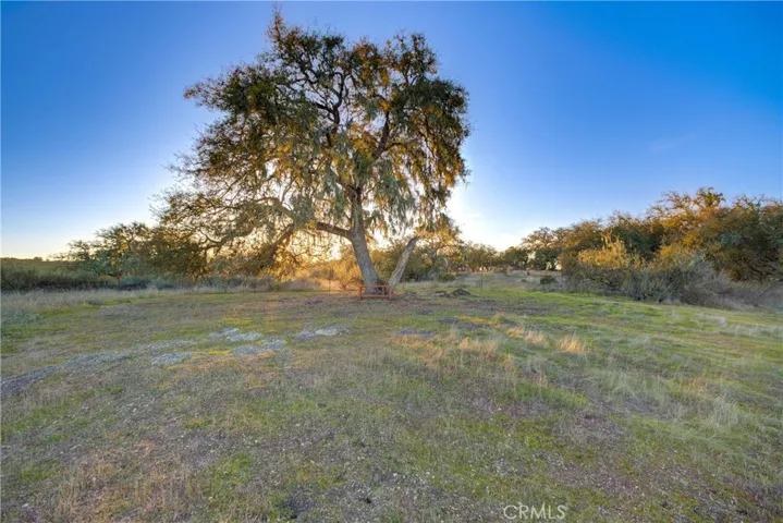 Very Top of Property can drive to it