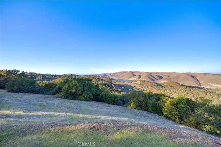 Top of the  Hill and property