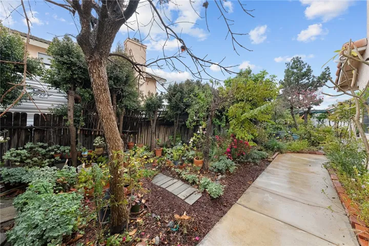 Lush side-yard garden with a concrete walkway and mature trees, creating a private, shaded retreat.