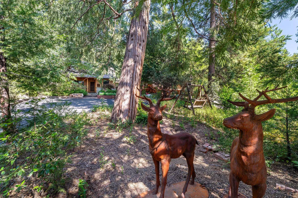 25140 Rim Rock Road, Idyllwild, California 92549 home-pic-11
