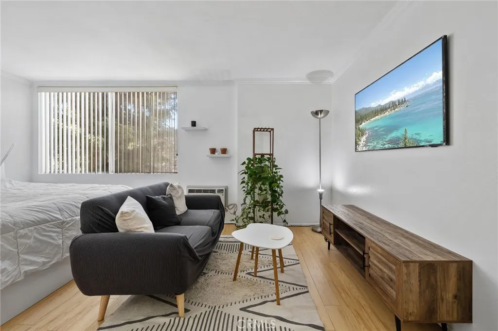 525 S Ardmore Avenue 257, Los Angeles, California 90020 home-pic-2