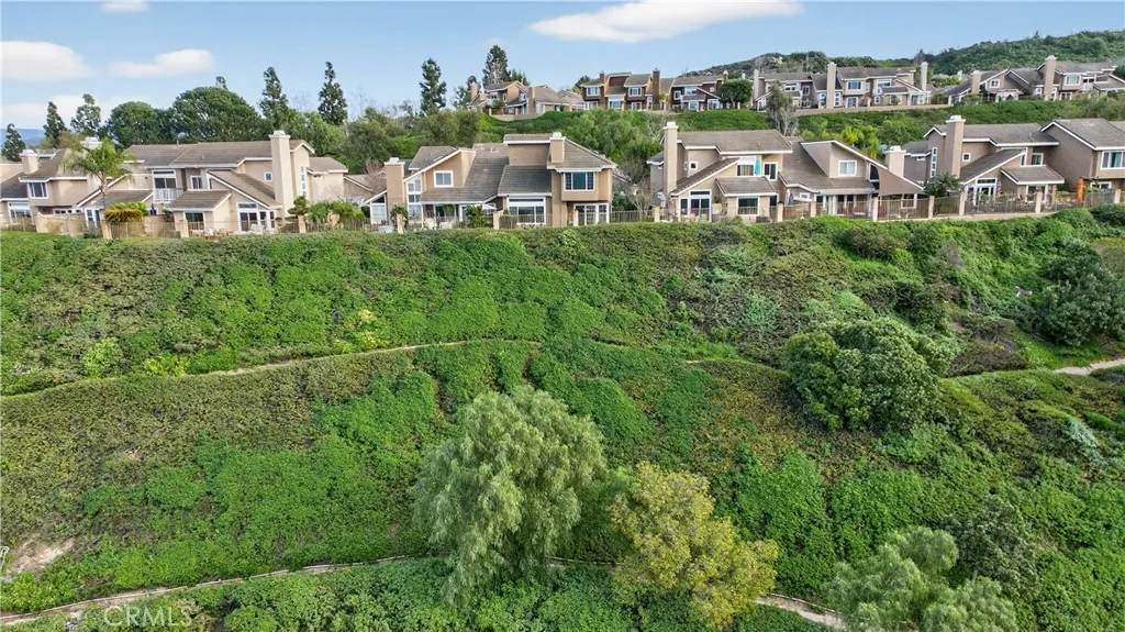 813 S Sapphire Lane, Anaheim Hills, California 92807 home-pic-33