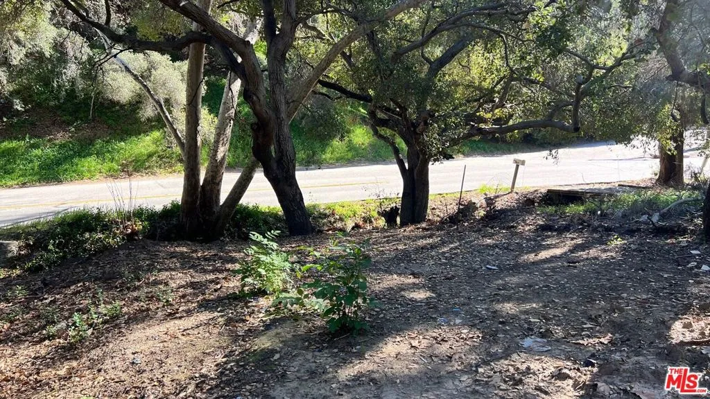 3485 Old Topanga Canyon Road, Topanga, California 90290 — photo 4