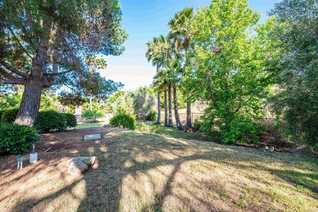 2432 Live Oak Road, Escondido, California 92029 home-pic-60