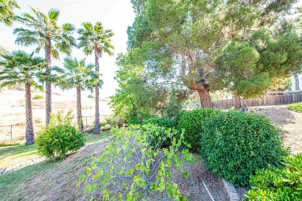 2432 Live Oak Road, Escondido, California 92029 home-pic-57
