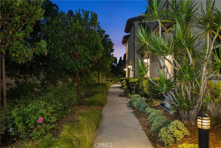 Pathway to the front door