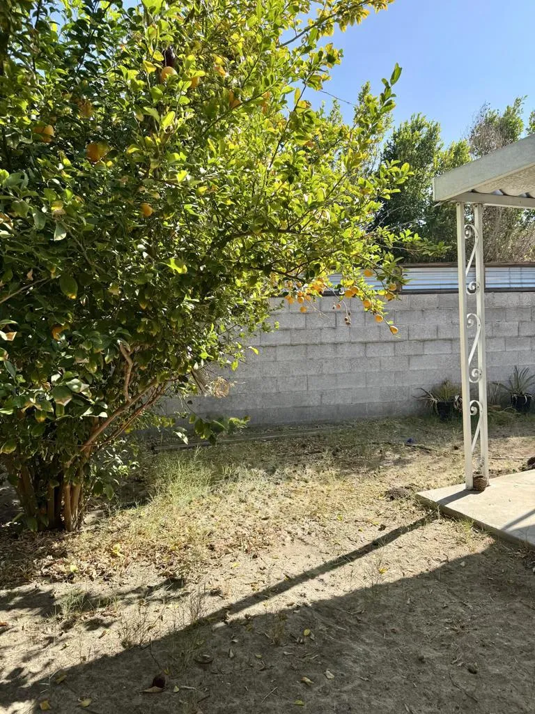 4 Karlisa, Palm Springs, California 92264 home-pic-17