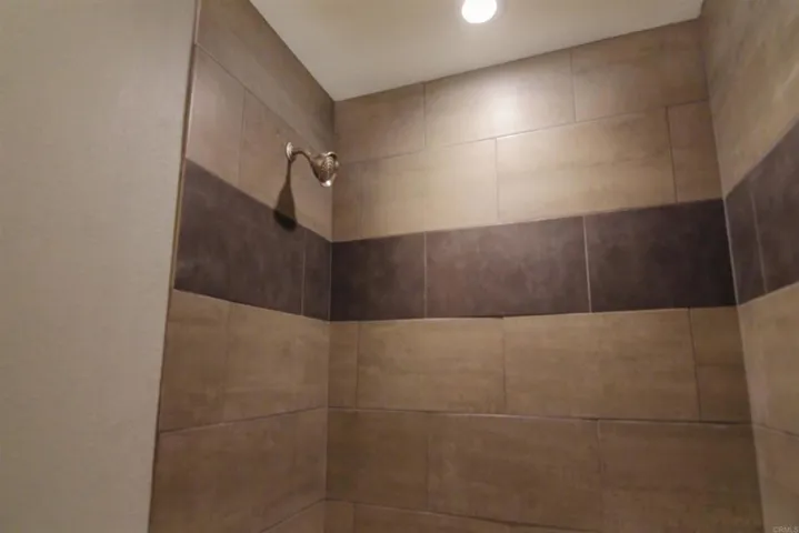 Guest Bathroom Shower