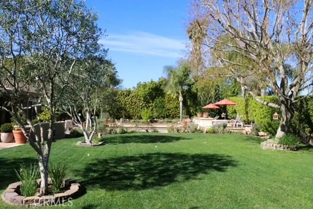 31382 Old San Juan Road, San Juan Capistrano, California 92675 home-pic-8