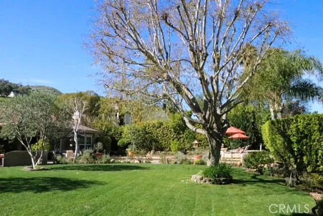 31382 Old San Juan Road, San Juan Capistrano, California 92675 home-pic-10