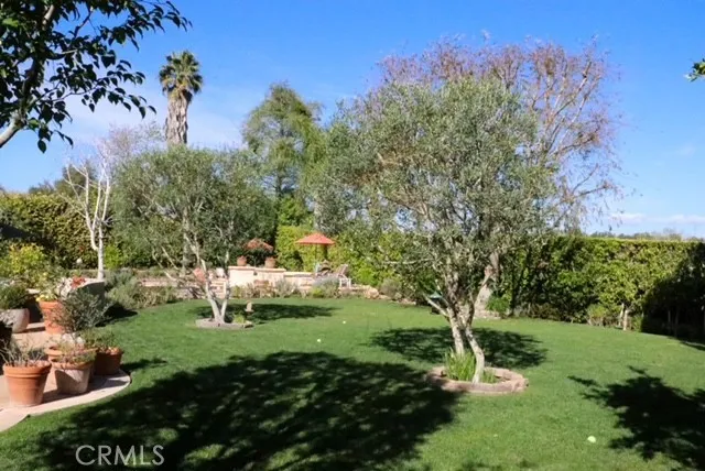 31382 Old San Juan Road, San Juan Capistrano, California 92675 home-pic-7