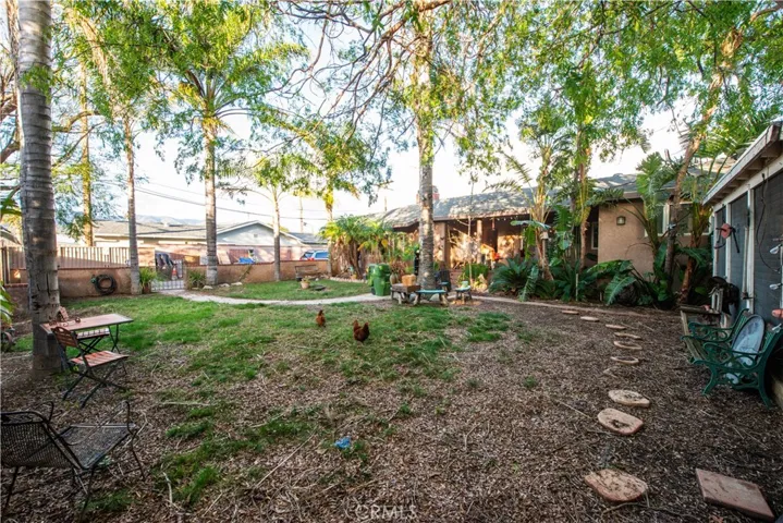 Front yard
