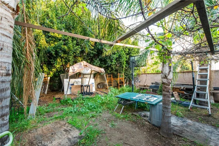 lots of room in the backyard