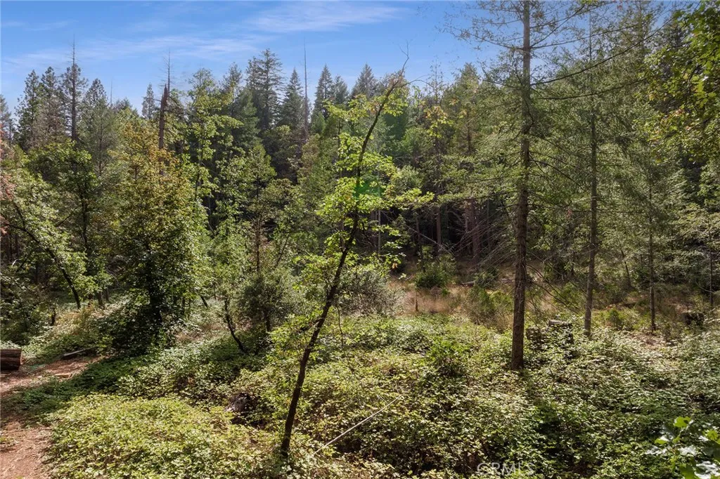 0 Tranquility/skyway, Magalia, California 95954 — photo 5