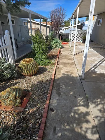 Water wise landscaping; beautiful mature cactus and succulents.
