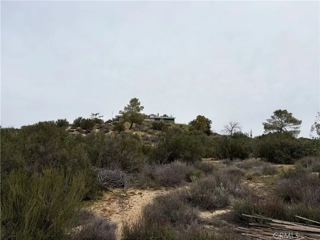 61200 Indian Paint Brush Road, Anza, California 92539