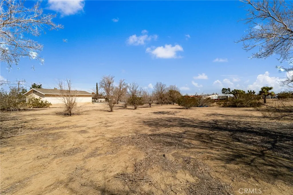 9925 Balsam, Hesperia, California 92345 home-pic-46