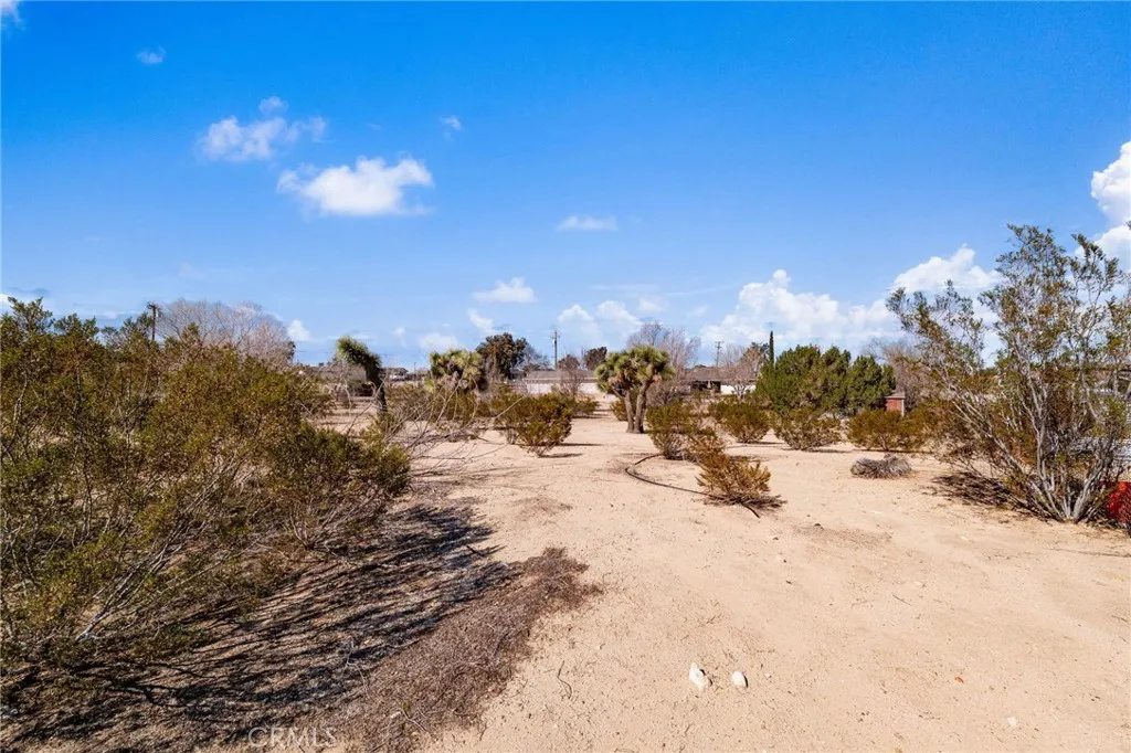 9925 Balsam, Hesperia, California 92345 home-pic-44