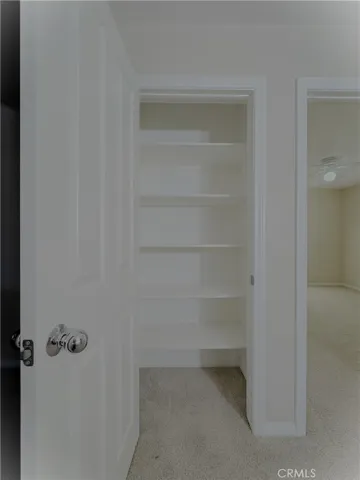 Linen / storage closet / level 2
