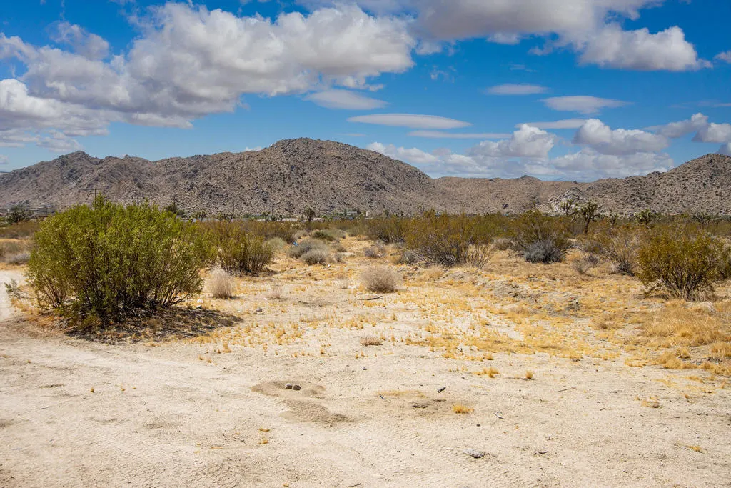 7382 Olympic Road, Joshua Tree, California 92252 home-pic-29