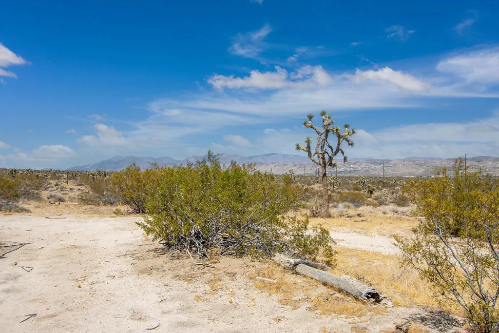 7382 Olympic Road, Joshua Tree, California 92252 home-pic-22