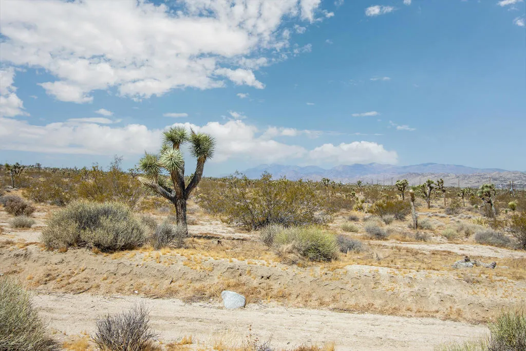 7382 Olympic Road, Joshua Tree, California 92252 home-pic-30