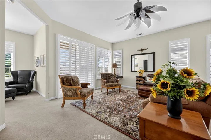 Living Room Area