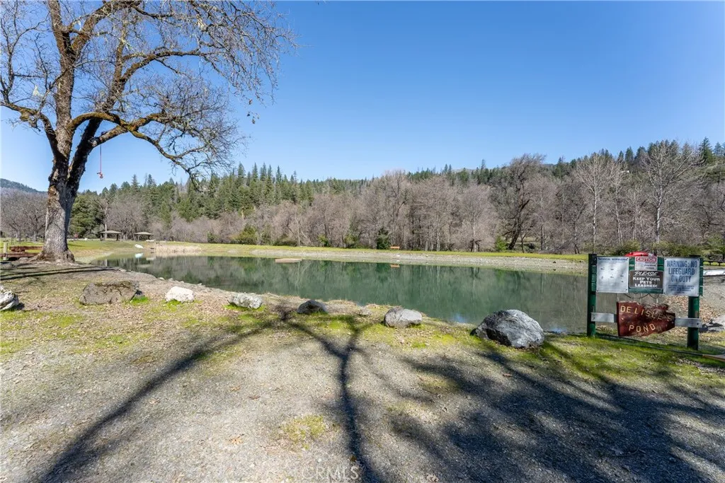 Shared pond
