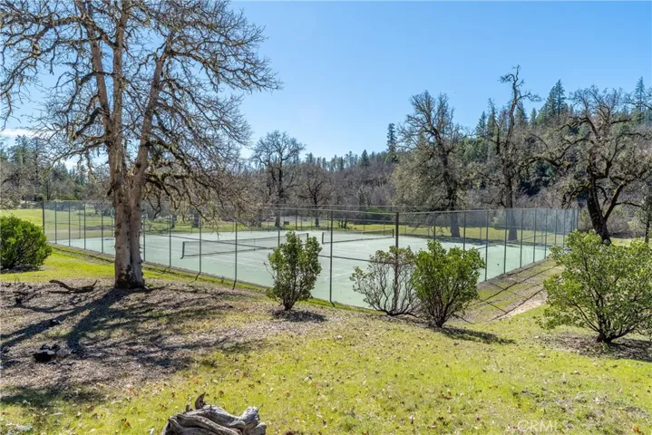 Shared tennis court
