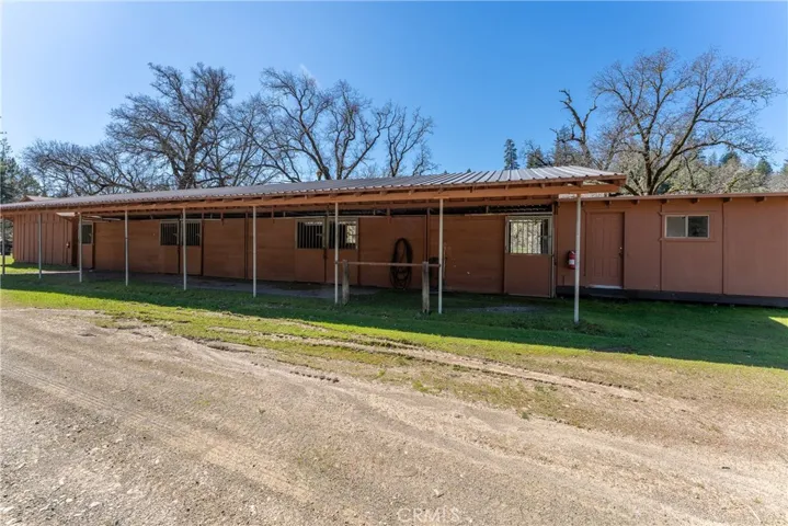Shared horse stables
