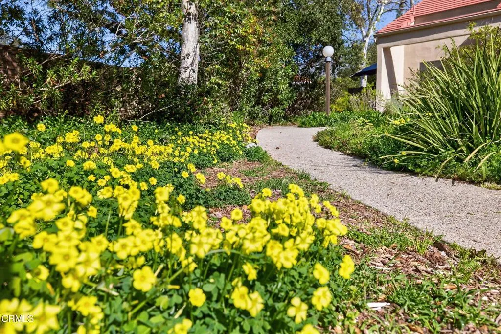 203 N Carrillo Road B, Ojai, California 93023 home-pic-6