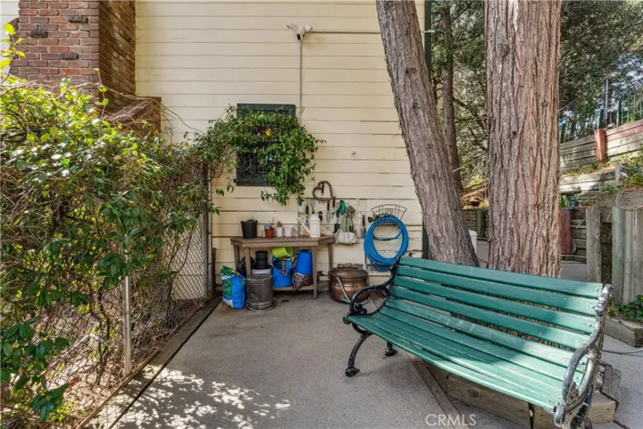 side yard with gardening area